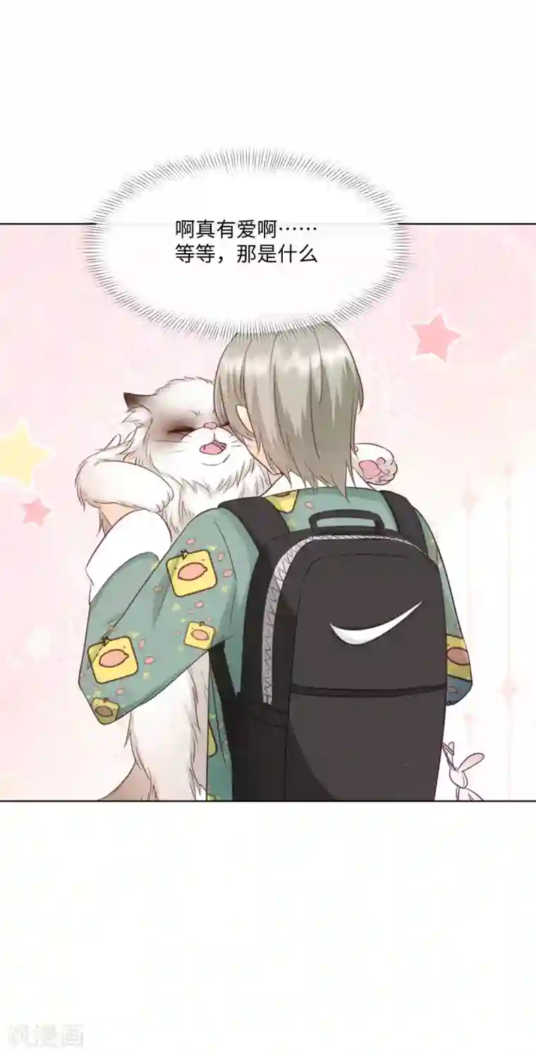 因你而动的少女心第55话 这是男孩子的房间？