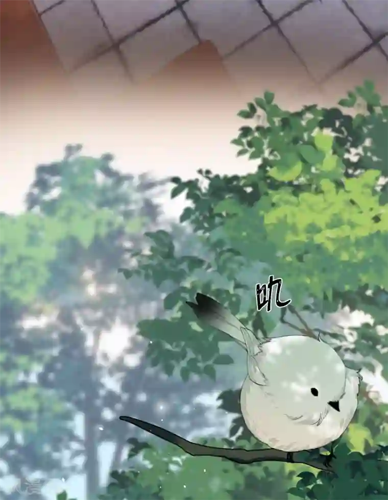 炮灰公主想苟到最后第11话 系统，你其实是幕后boss吧