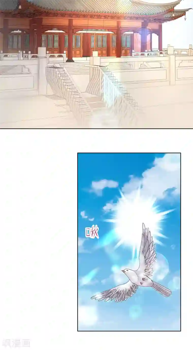 浴血商后：冷夫强宠第194话