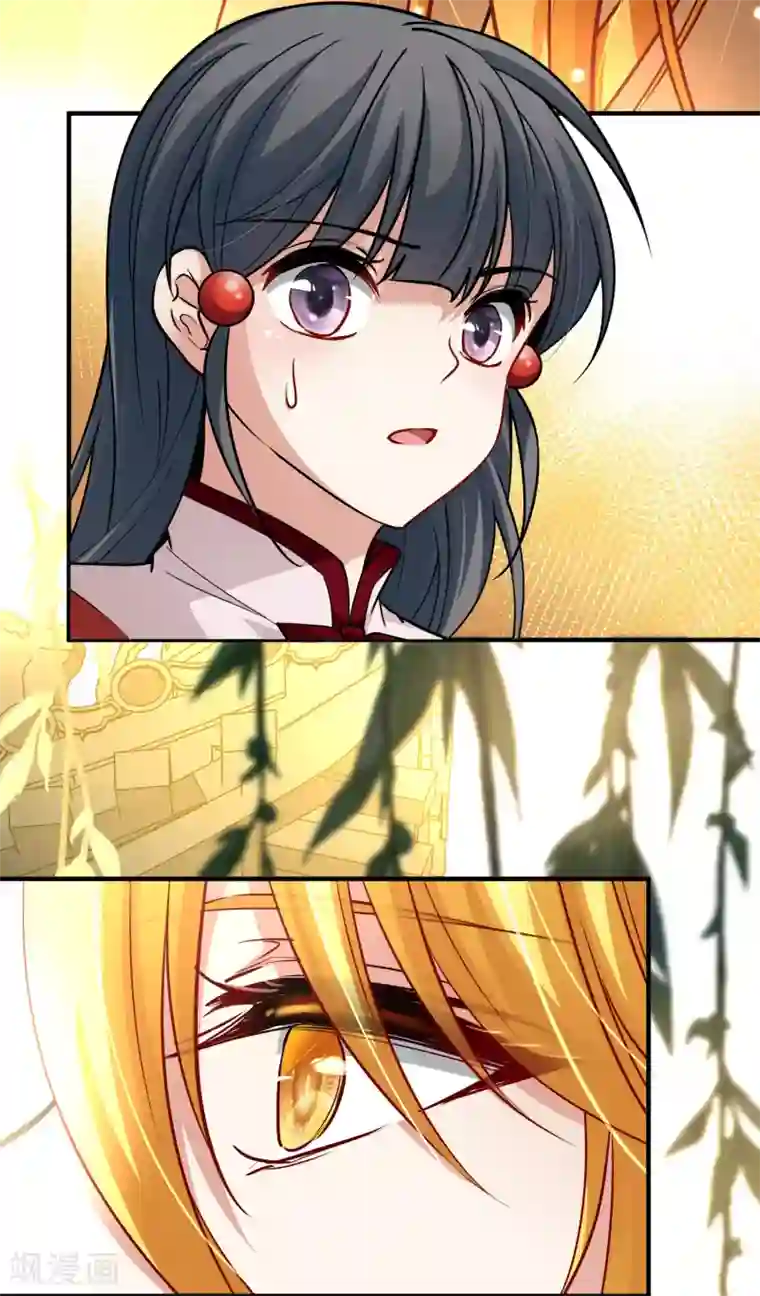 寻找前世之旅第2季第12话 飞鸟的师父1