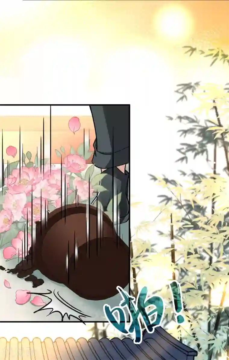 寻找前世之旅第2季第12话 飞鸟的师父1