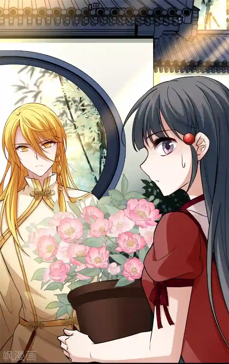 寻找前世之旅第2季第12话 飞鸟的师父1