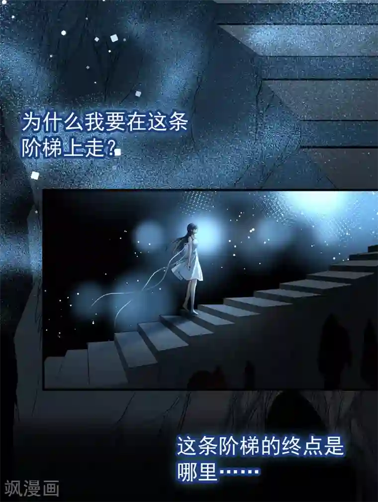 寻找前世之旅第2季第14话 飞鸟的师父3