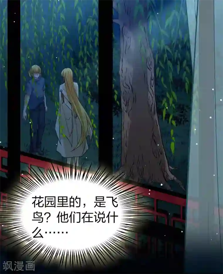 寻找前世之旅第2季第14话 飞鸟的师父3