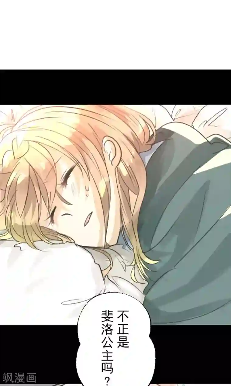 他和她的魔法契约第132话 金翼神圣王国