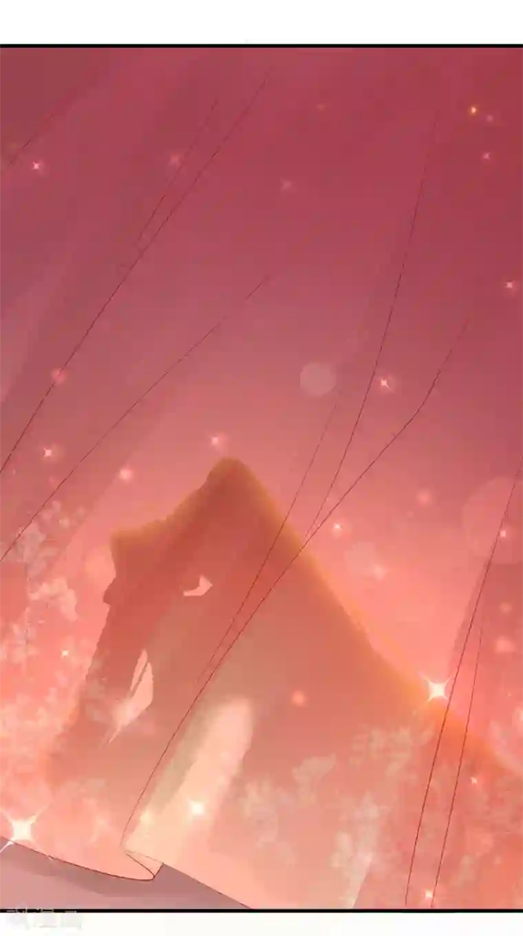 痴傻毒妃不好惹第143话 洞房花烛夜