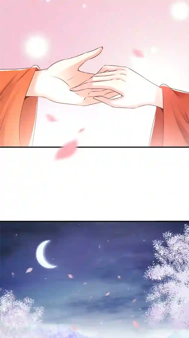 痴傻毒妃不好惹第143话 洞房花烛夜