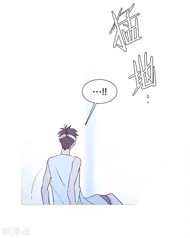 动物灵魂管理局第141话 一往如初