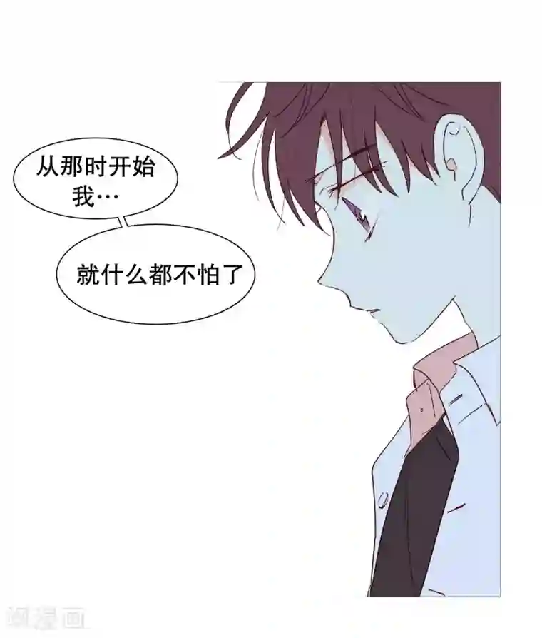 动物灵魂管理局第141话 一往如初