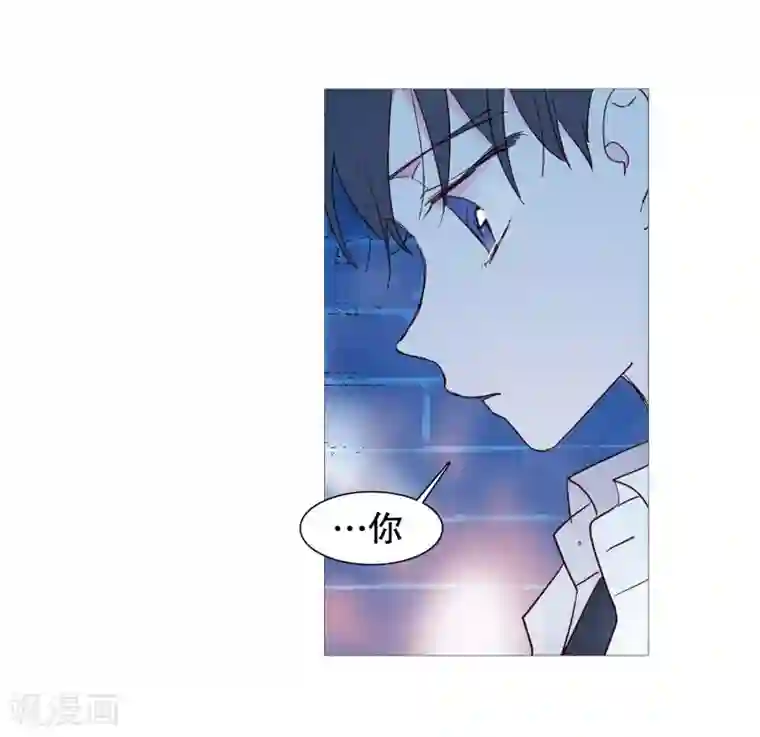 动物灵魂管理局第141话 一往如初