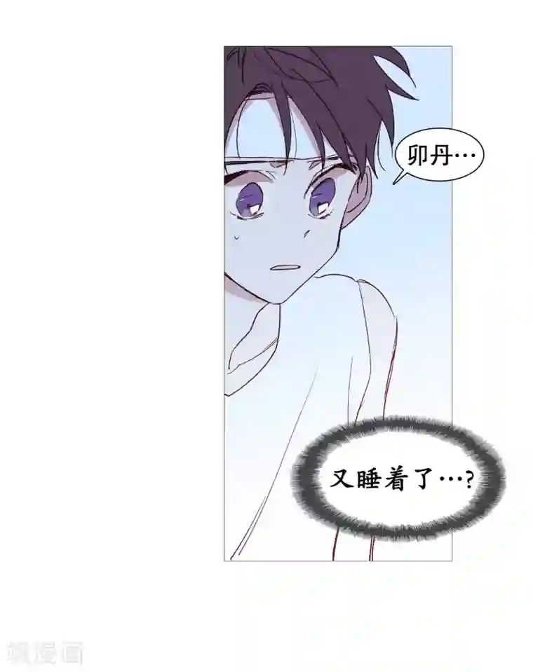 动物灵魂管理局第141话 一往如初