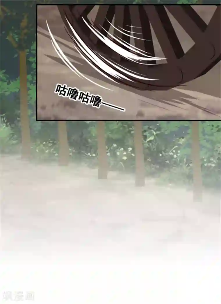 邪王的绝世毒妃第178话 意外