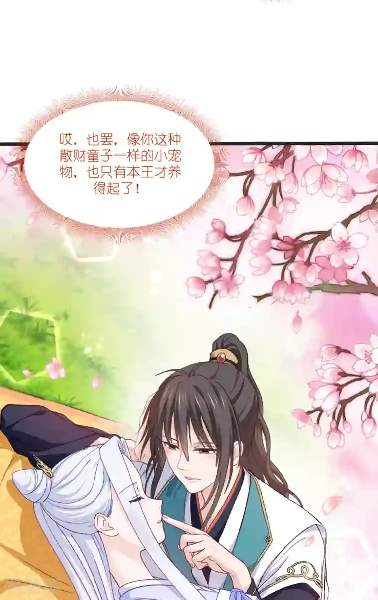 我钱花不完了怎么办？第25话 本王的小宠物