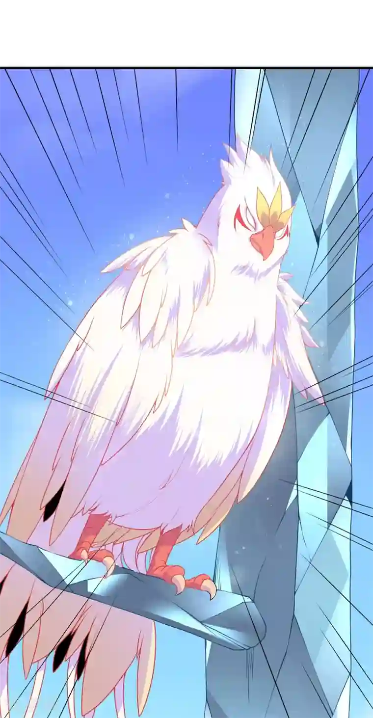 力拔山河兮子唐第17话 大战冰鸟