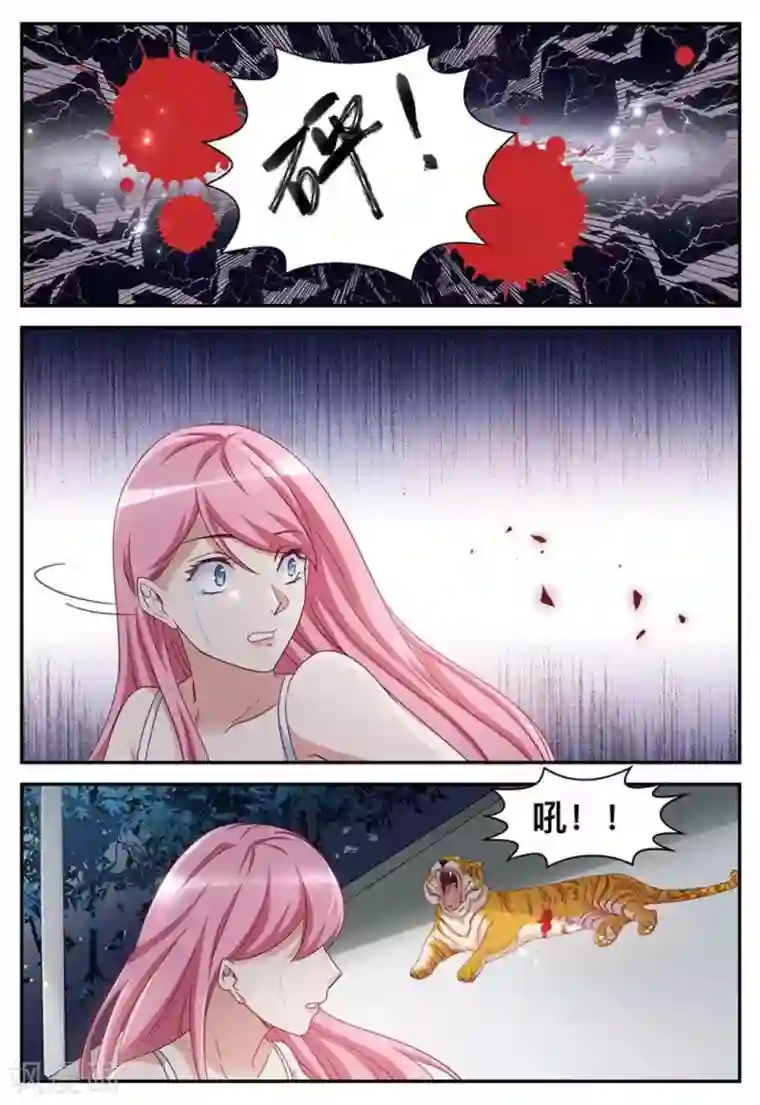 纸短情长第15话