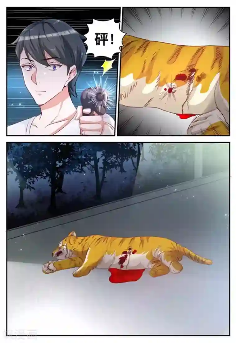 纸短情长第15话