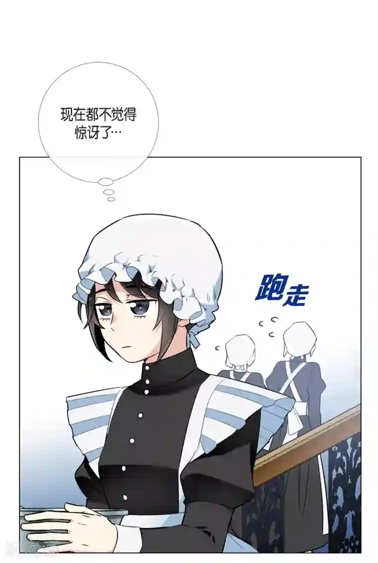 吸血鬼与女仆第4话 你知道法令吗？