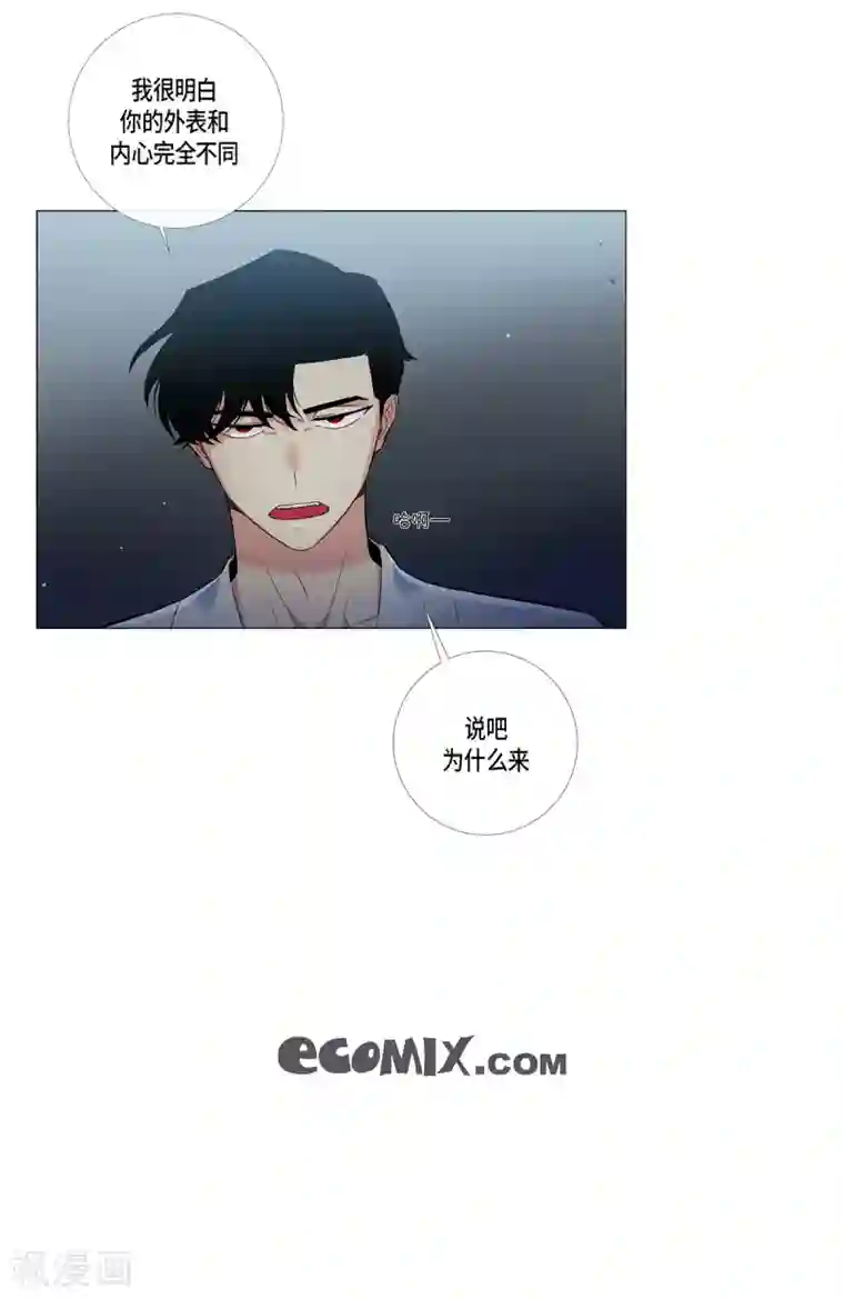 吸血鬼与女仆第4话 你知道法令吗？