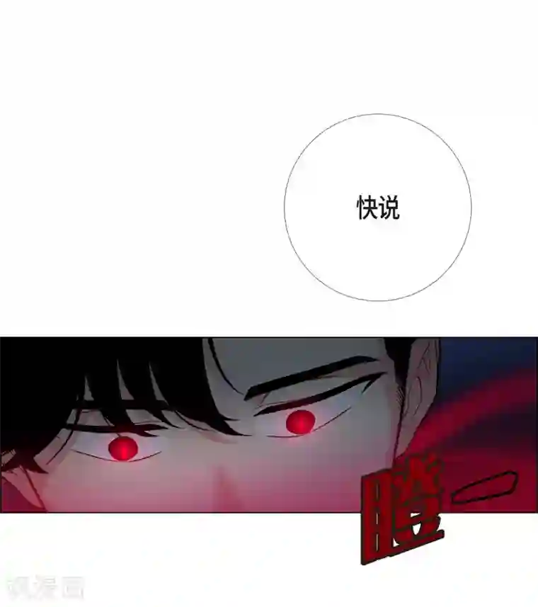 吸血鬼与女仆第5话 为了主人？