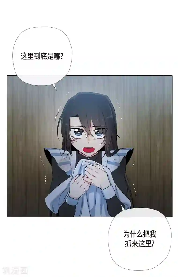 吸血鬼与女仆第9话 我想支援雅霖小姐