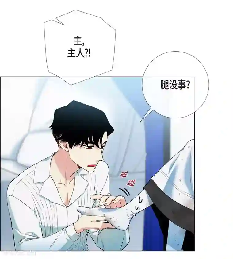 吸血鬼与女仆第10话 不会再怀疑你