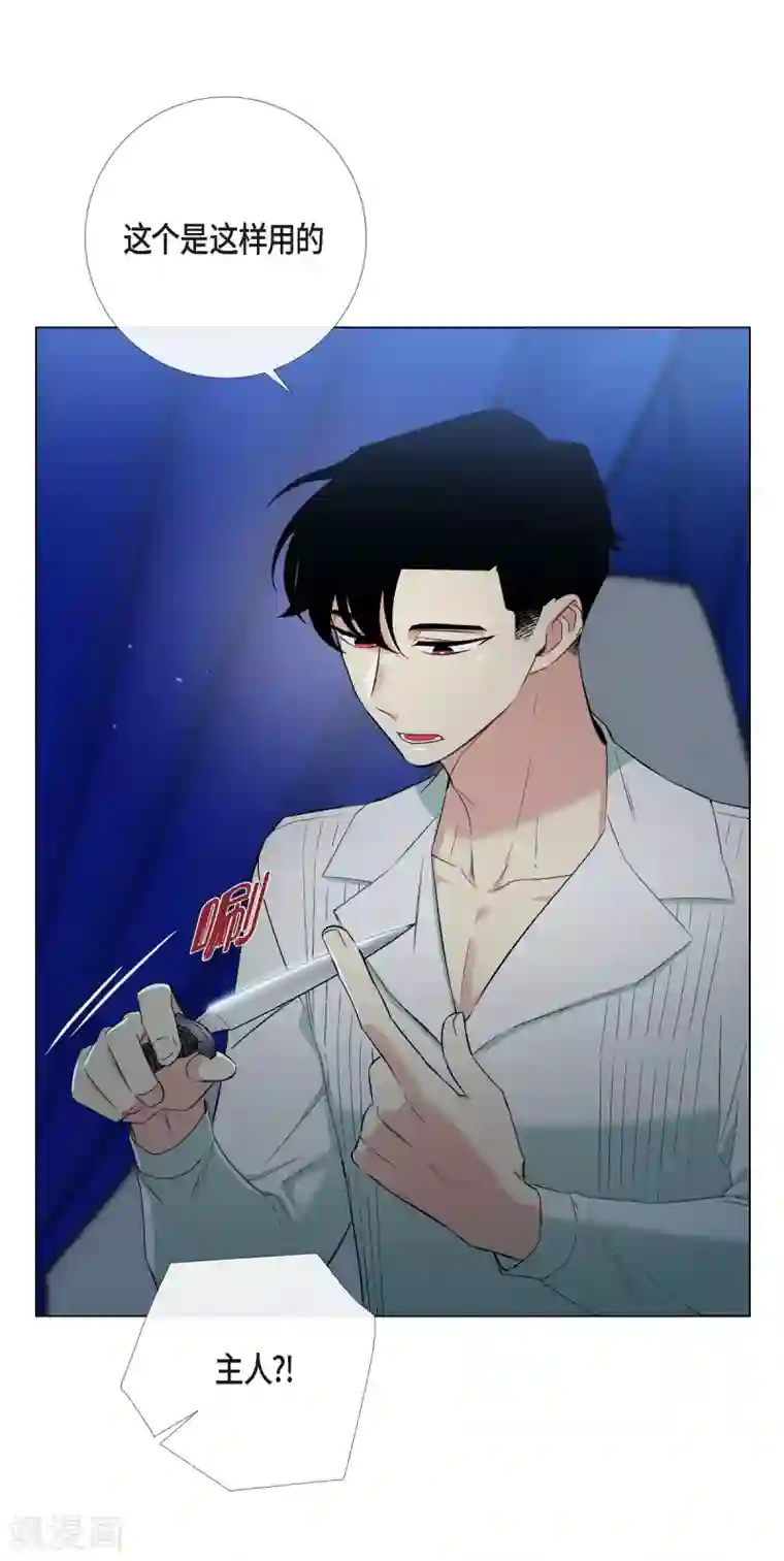 吸血鬼与女仆第11话 我会尽快好起来