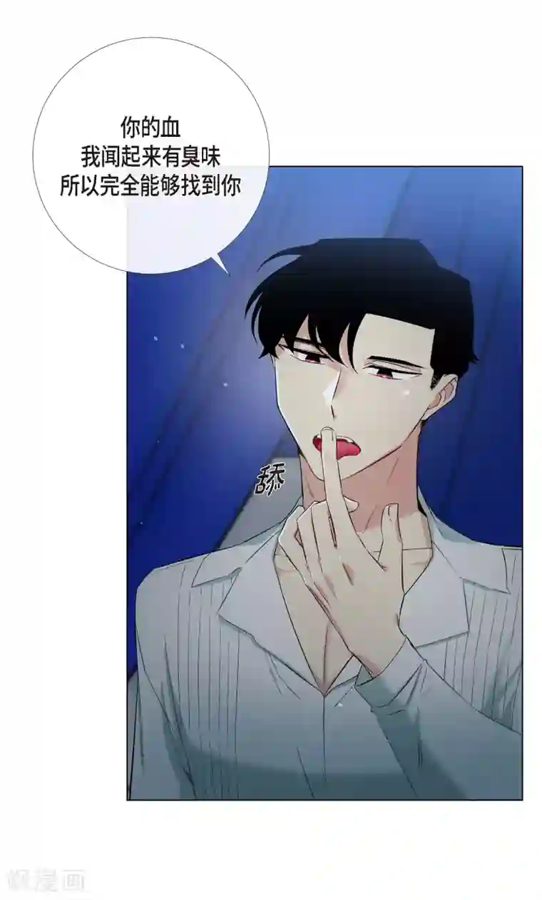 吸血鬼与女仆第11话 我会尽快好起来