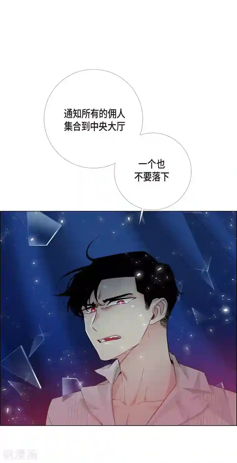 吸血鬼与女仆第14话 一定要告状