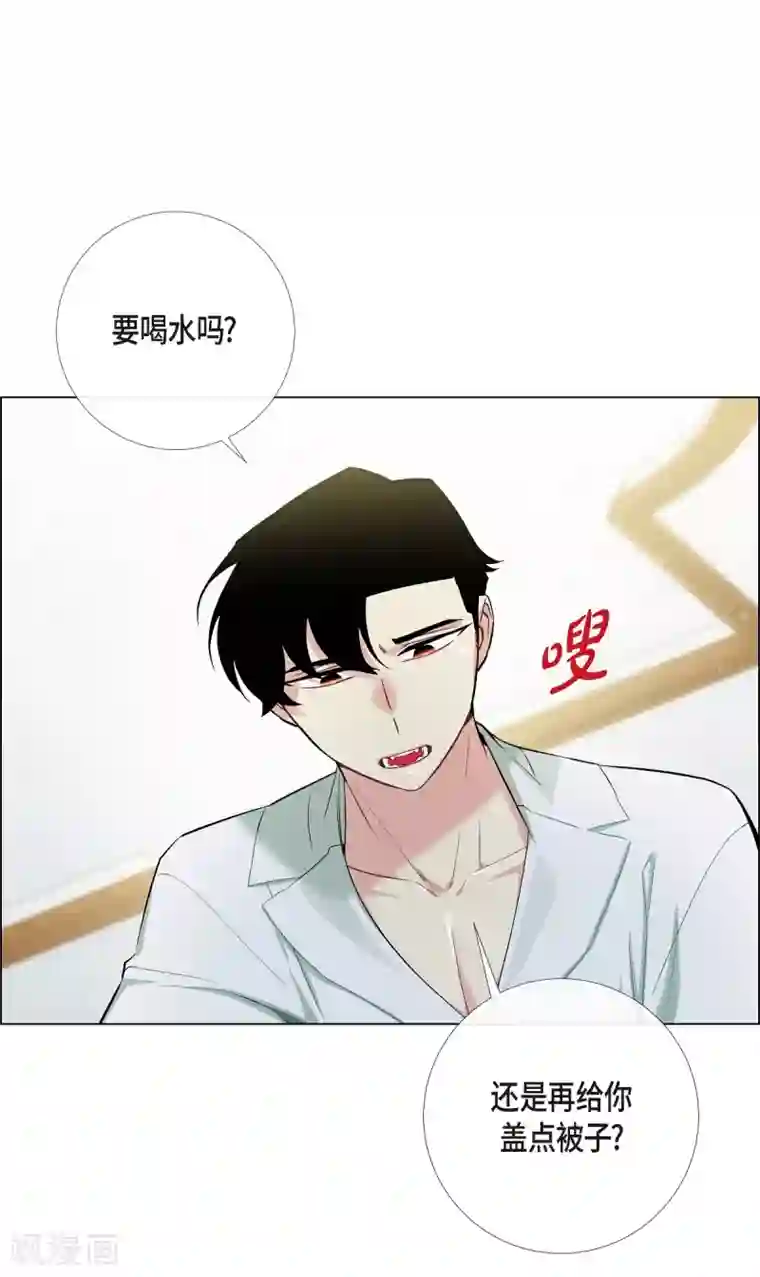 吸血鬼与女仆第14话 一定要告状