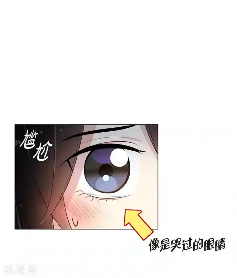 吸血鬼与女仆第25话 放风灯