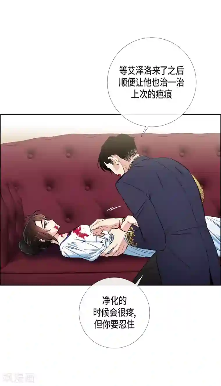 吸血鬼与女仆第30话 我不允许你死