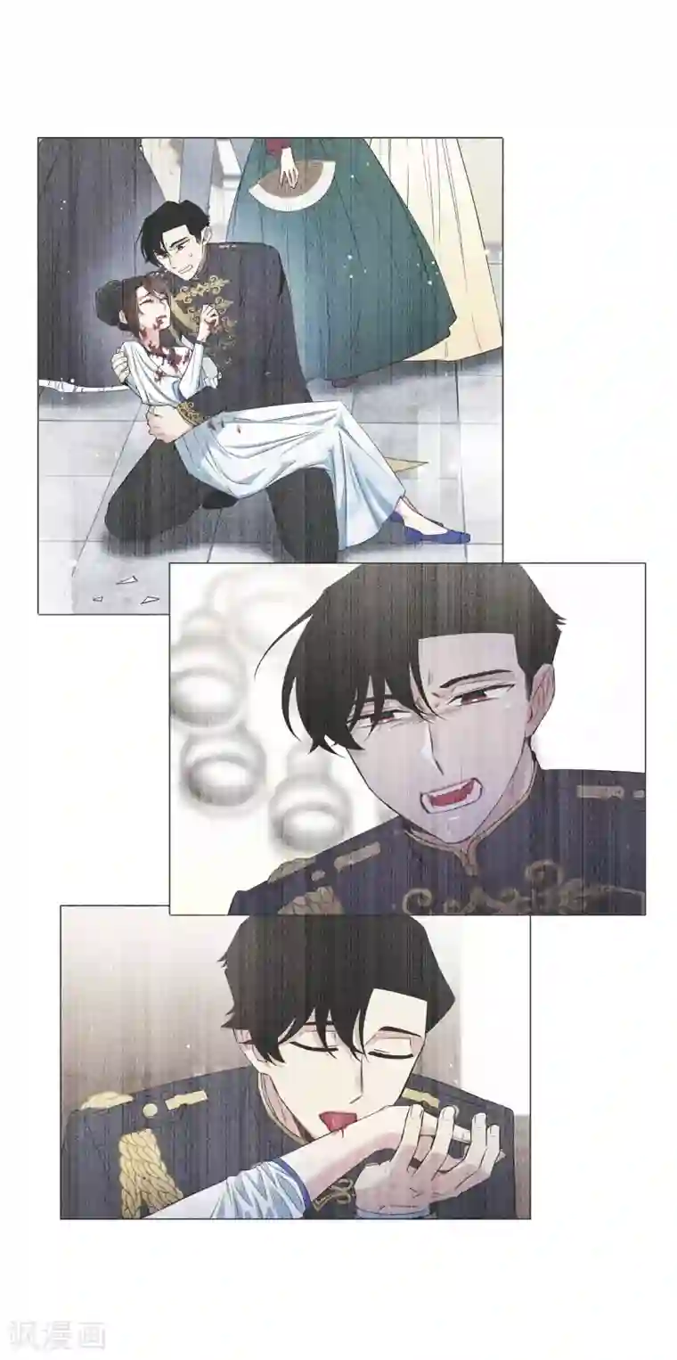 吸血鬼与女仆第31话 净化血液？