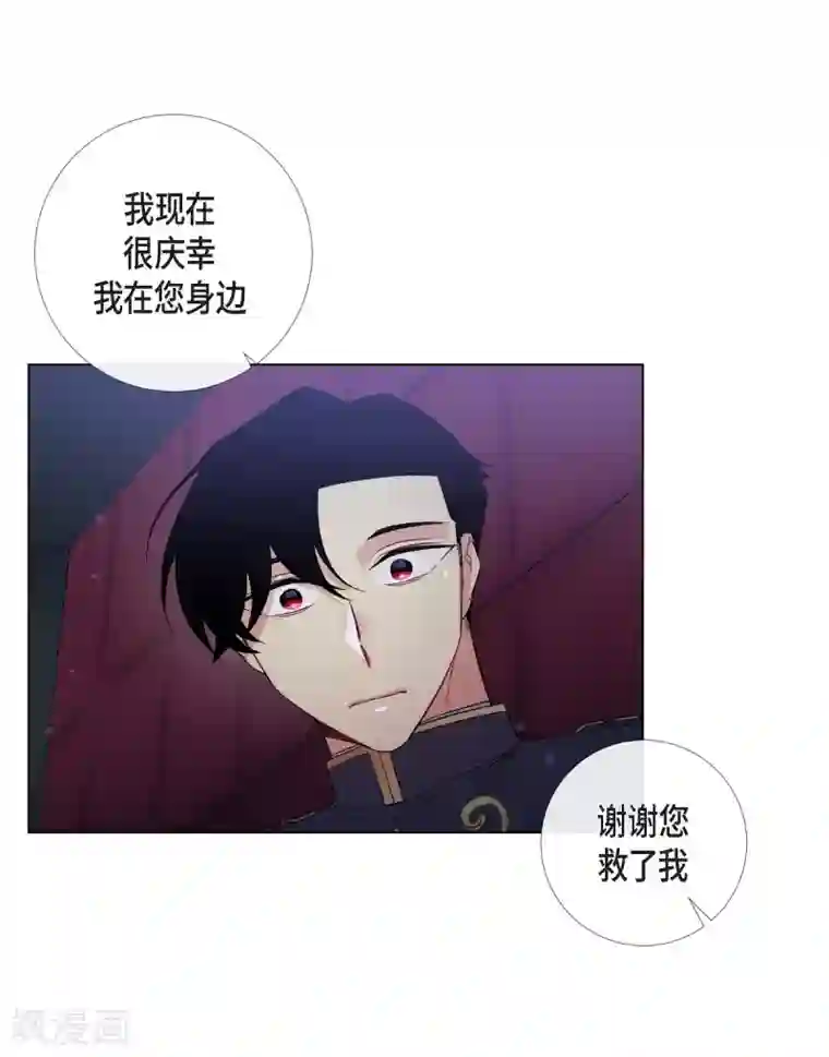 吸血鬼与女仆第31话 净化血液？