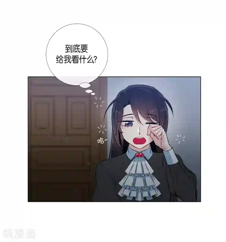 吸血鬼与女仆第33话 回归领地