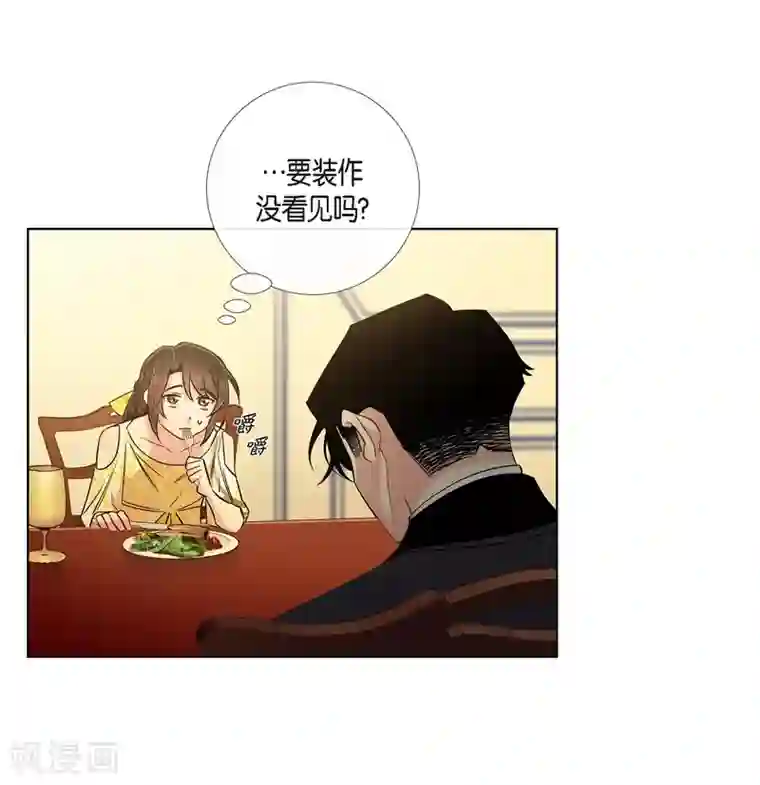 吸血鬼与女仆第42话 表白