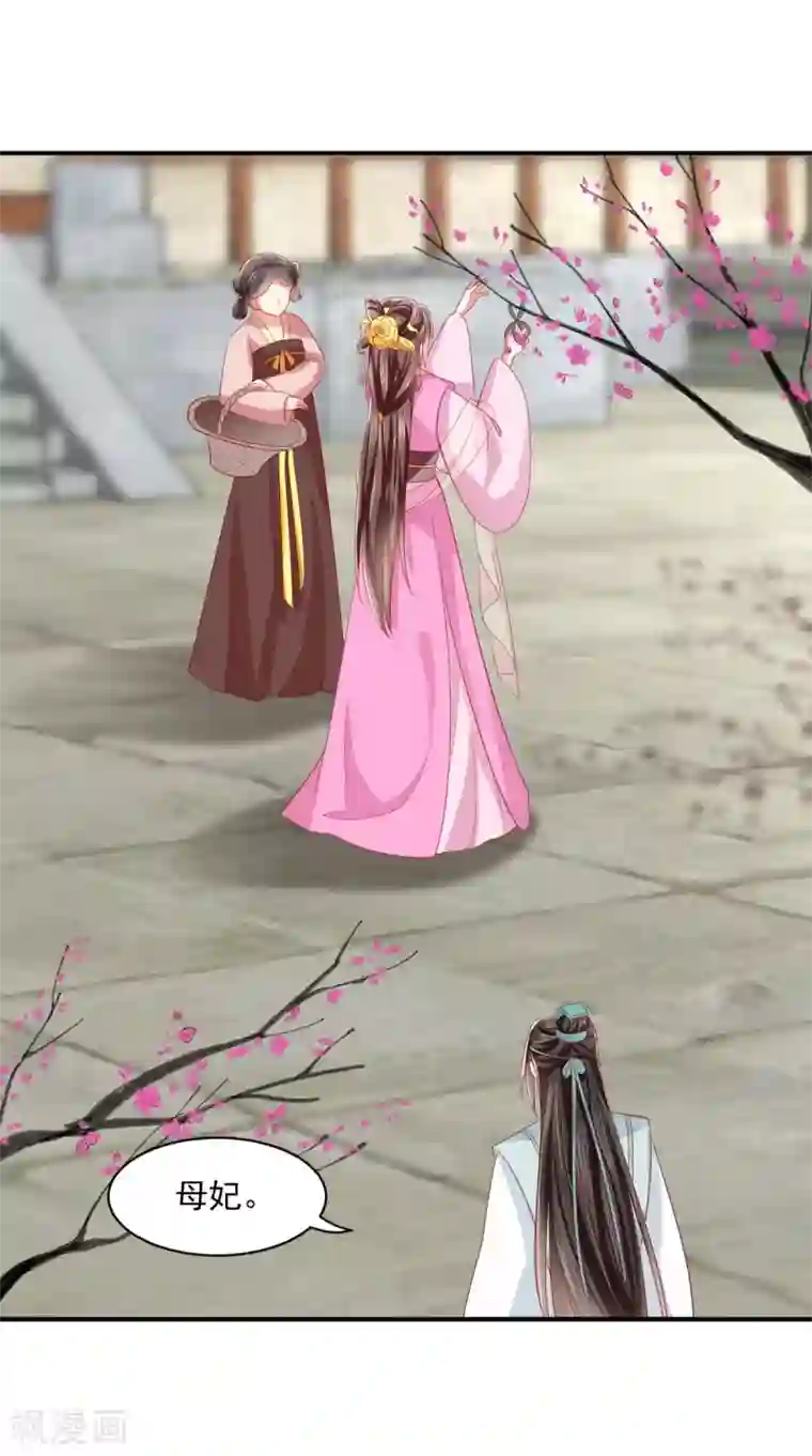 痴傻毒妃不好惹第146话 刺杀