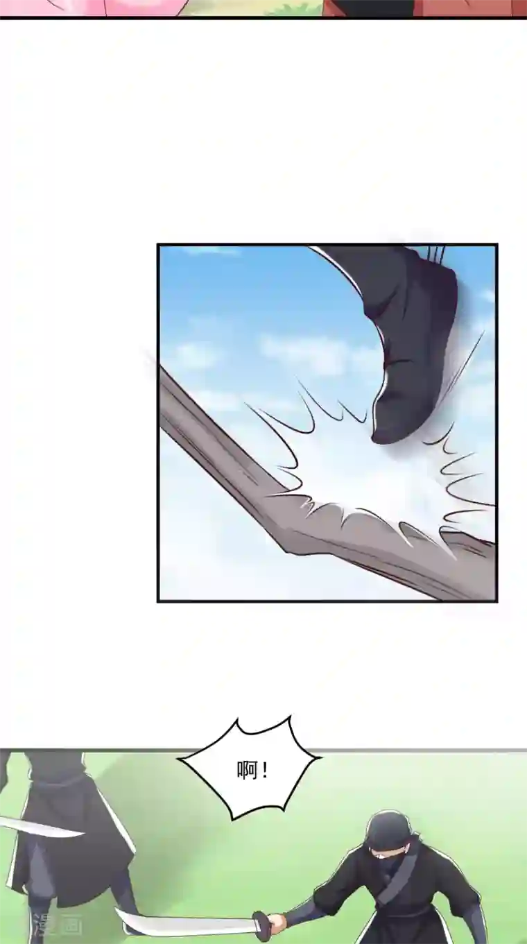 痴傻毒妃不好惹第146话 刺杀