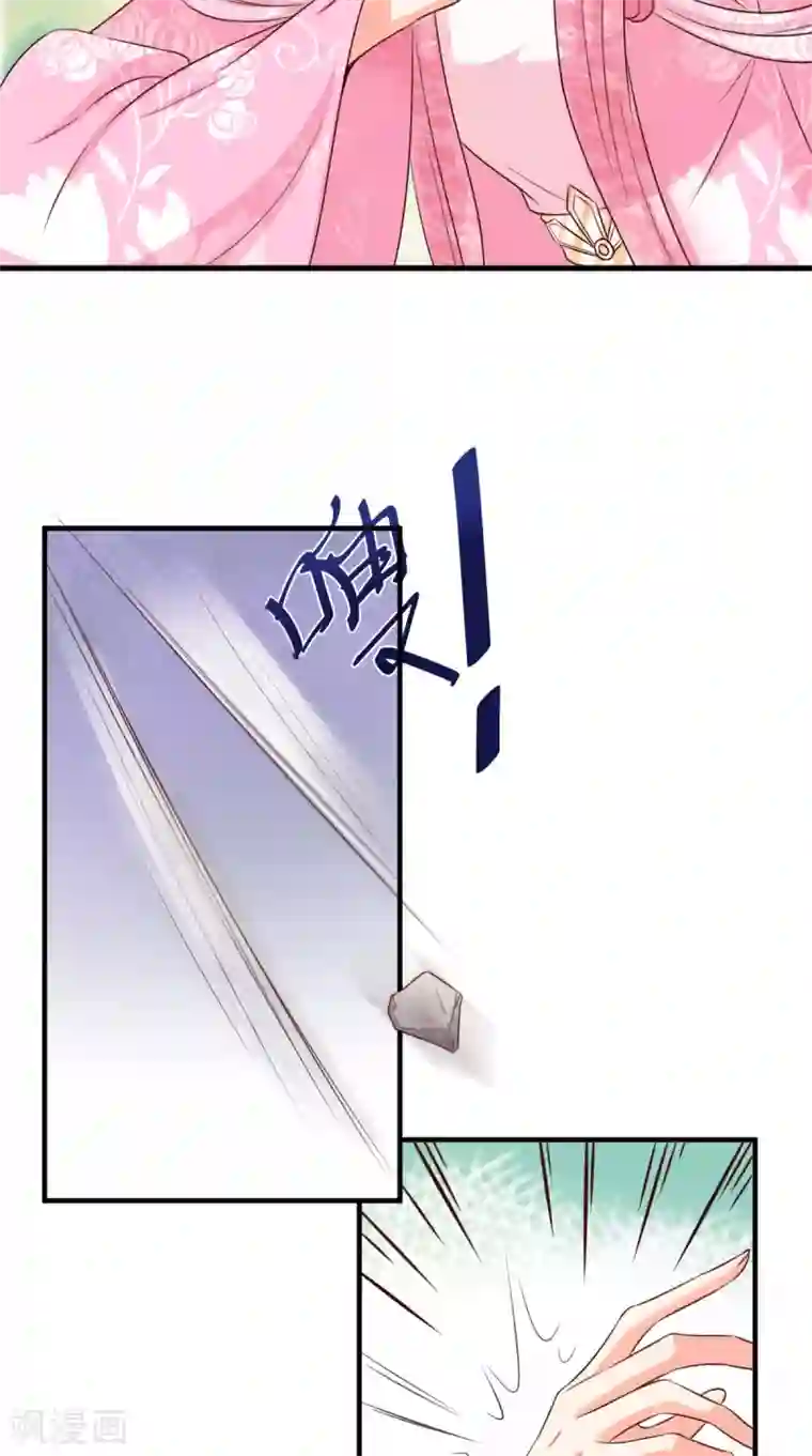 痴傻毒妃不好惹第146话 刺杀