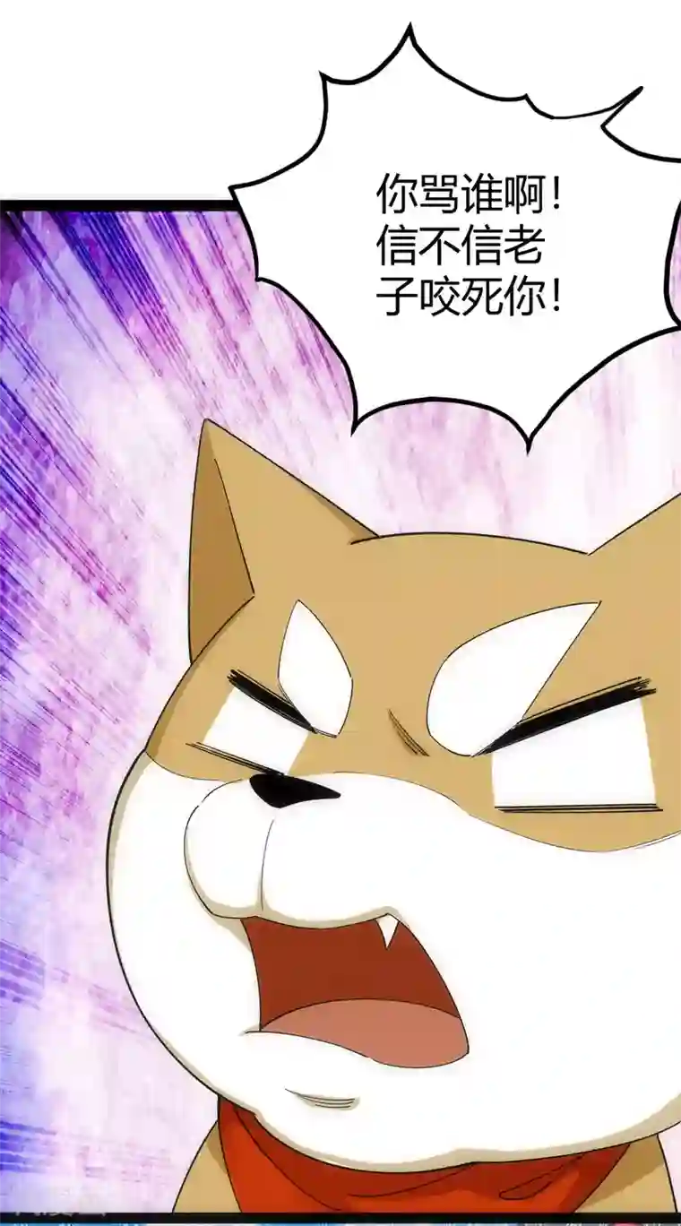 神经武林之盖世无双第38话