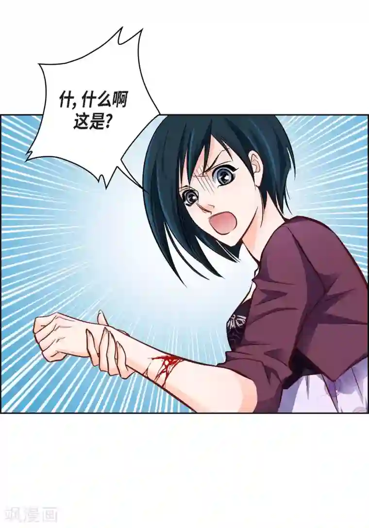 献给心脏第13话 再也找不到