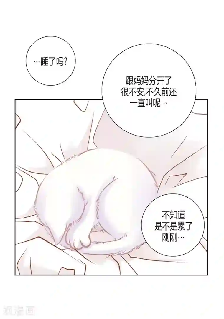 100的她第140话