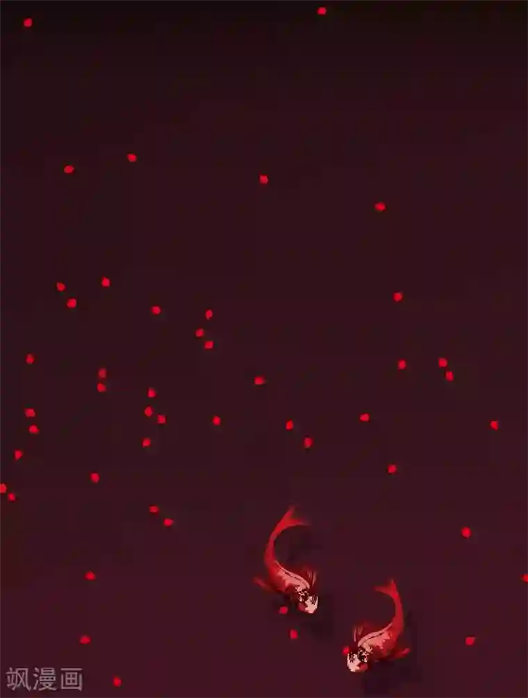 赤狐第2话 求婚