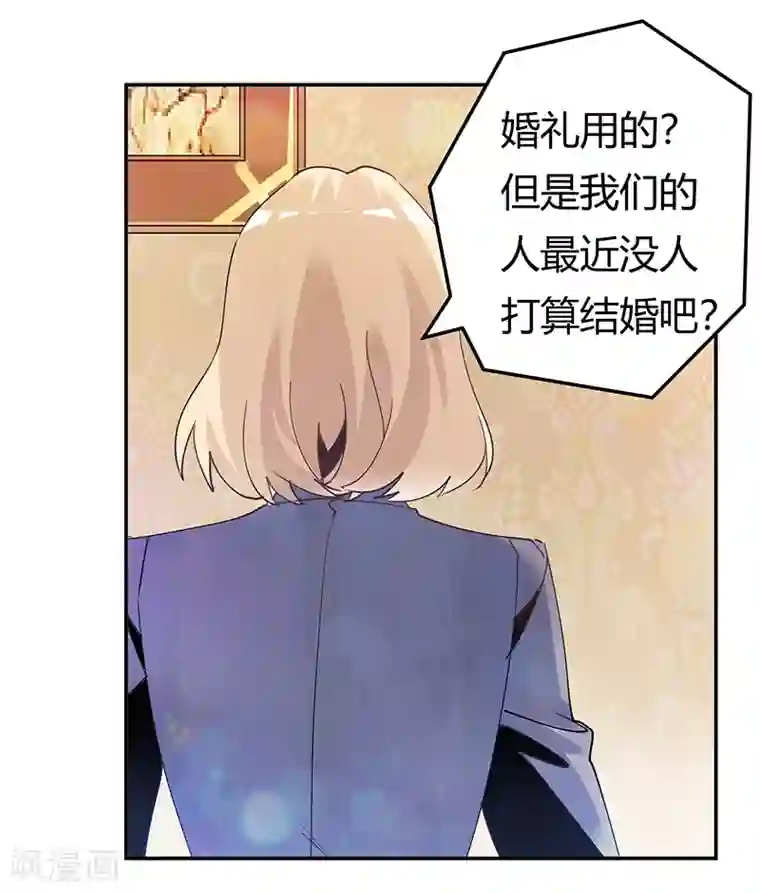 总裁的天价萌妻第243话 严格保密的婚礼