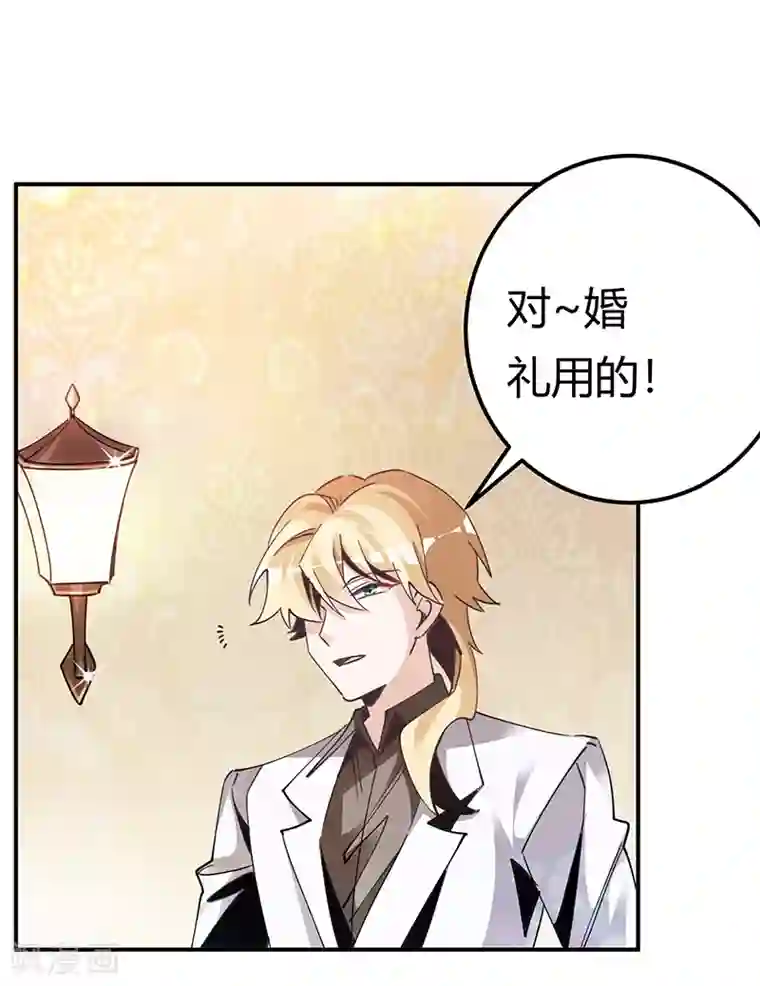 总裁的天价萌妻第243话 严格保密的婚礼