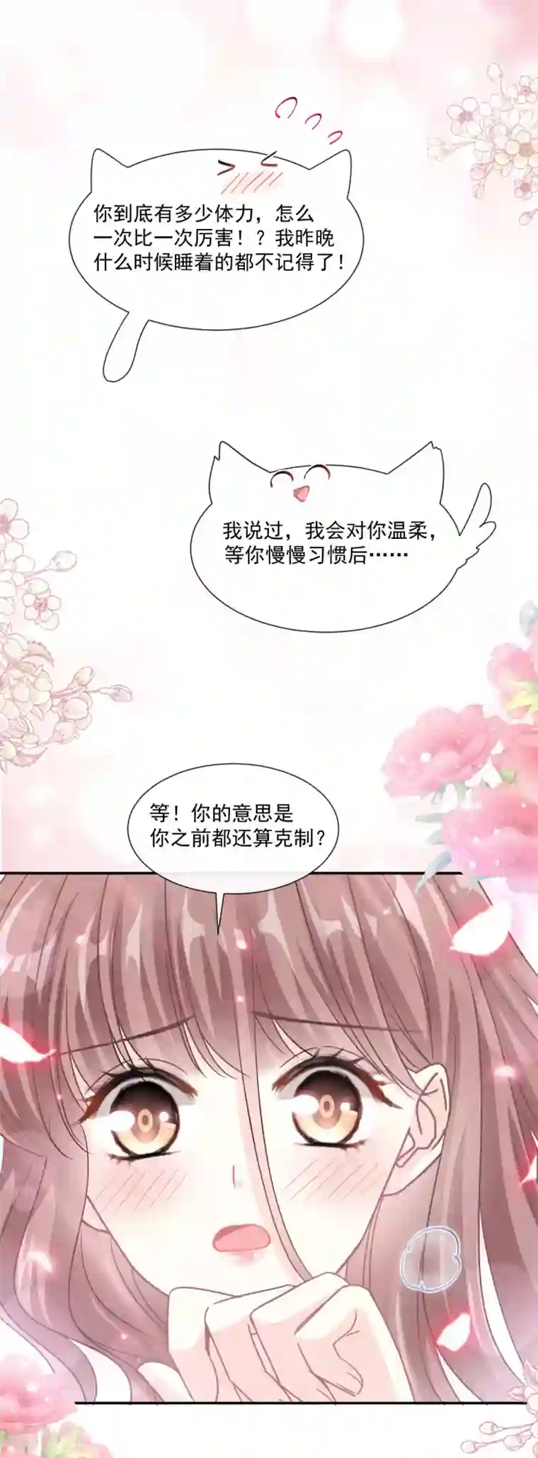 霸道总裁轻轻爱第126话 新婚之夜