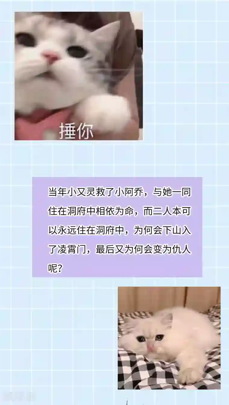 废女妖神第78话 白色暖阳