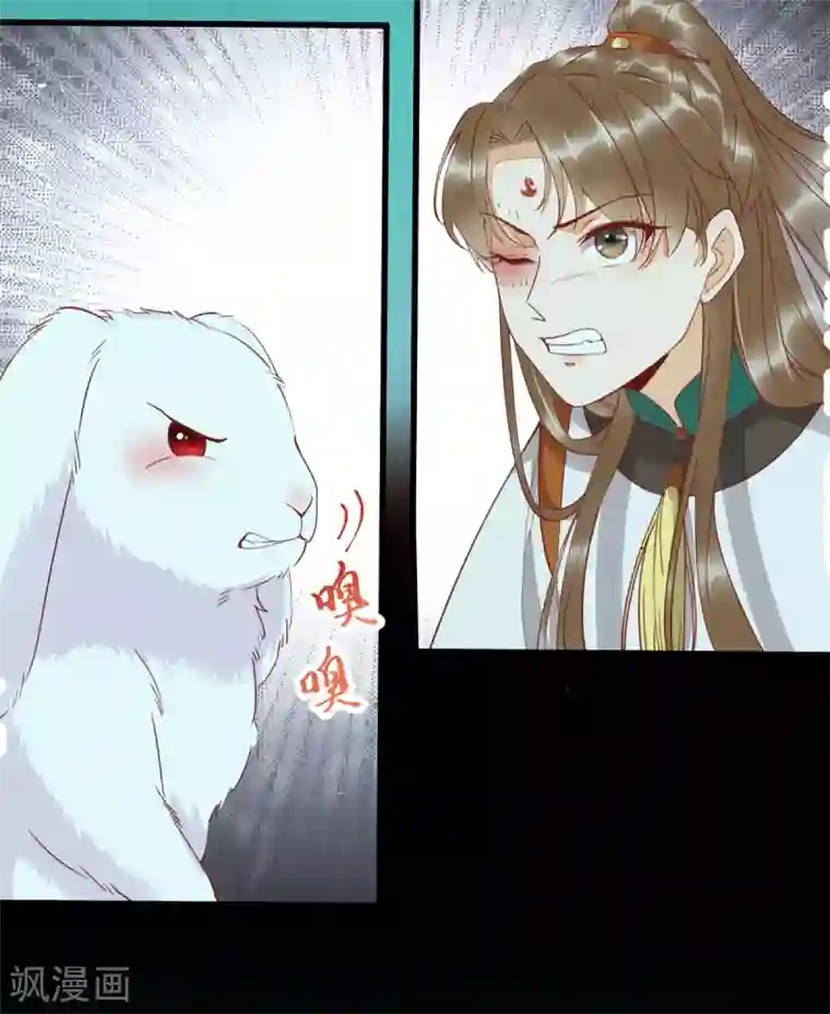 杀手王妃不好惹第69话 被萌兔叽KO