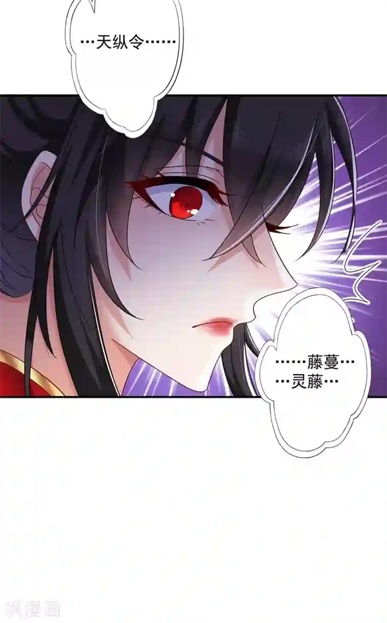 我在异界养男神：神医九小姐第69话 进入天纵山