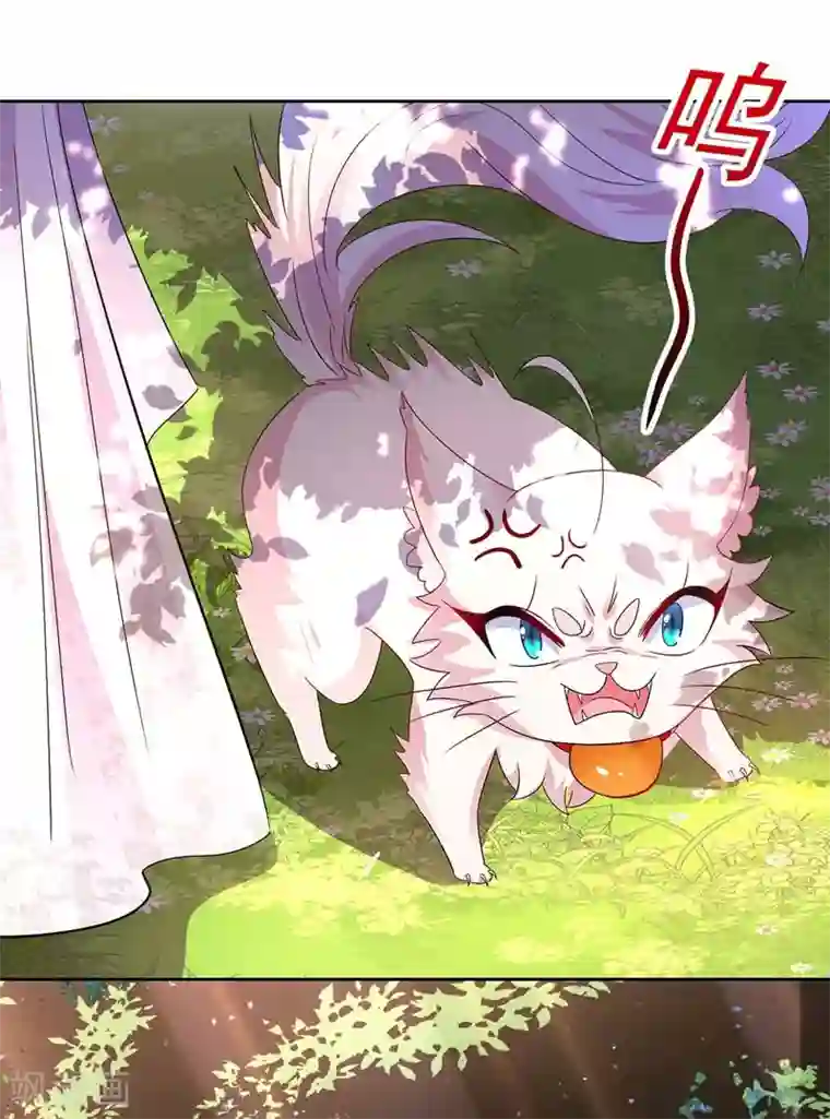 我在异界养男神：神医九小姐第70话 强抢