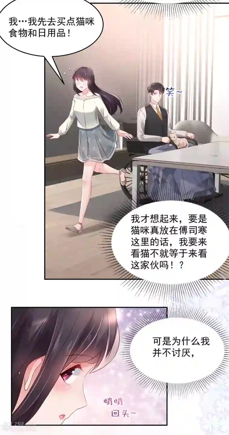 重生相逢：给你我的独家宠溺第58话 捡了只小猫咪